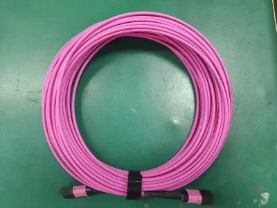 MPO Patch Cord (8)