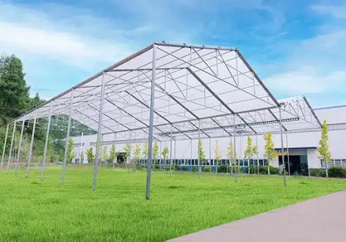 United-State-retractable-greenhouse-3.webp United-State-retractable-greenhouse-3.webp